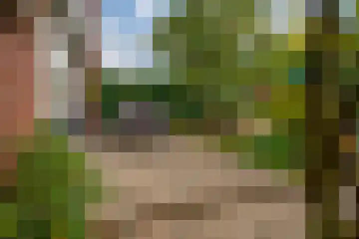 Heilige Stoel 5335 Wijchen thumbnail 18