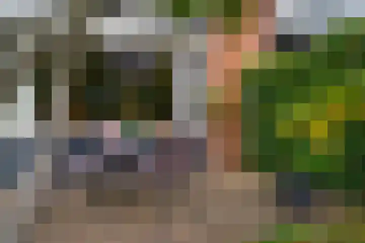 Heilige Stoel 5335 Wijchen thumbnail 19