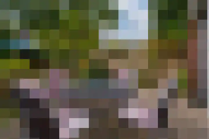Heilige Stoel 5335 Wijchen thumbnail 20