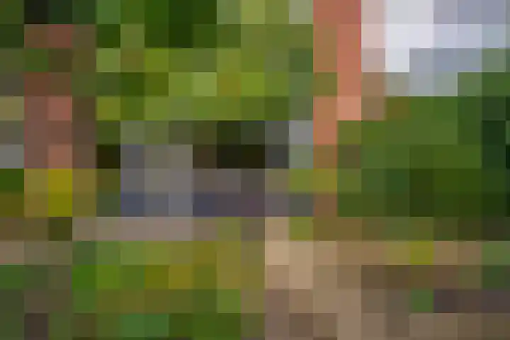 Heilige Stoel 5335 Wijchen thumbnail 21