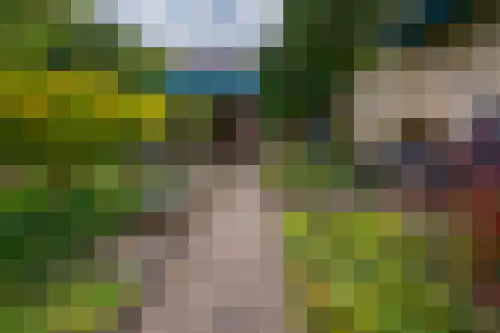 Heilige Stoel 5335 Wijchen thumbnail 22