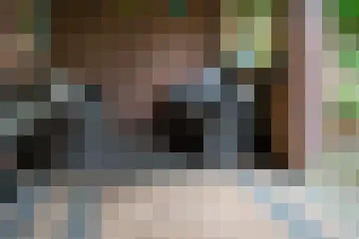 Heilige Stoel 5335 Wijchen thumbnail 24