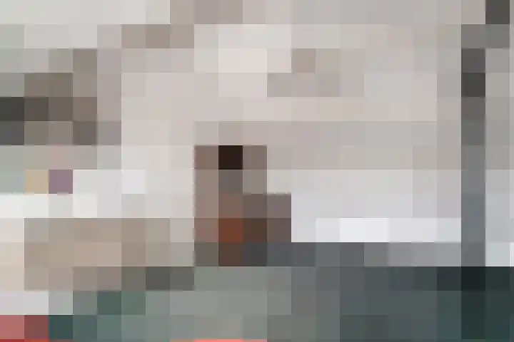 Heilige Stoel 5335 Wijchen thumbnail 45