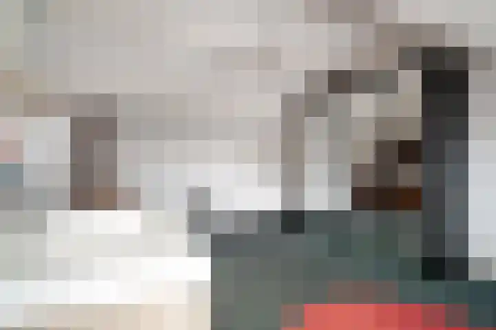 Heilige Stoel 5335 Wijchen thumbnail 46