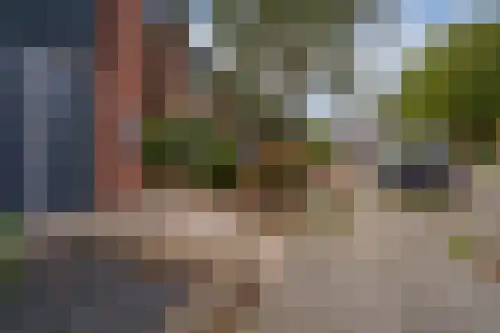 Heilige Stoel 5335 Wijchen thumbnail 48