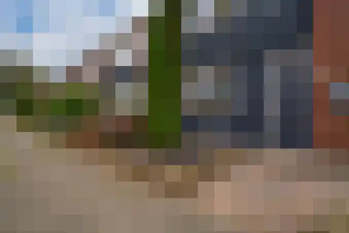 Heilige Stoel 5335 Wijchen thumbnail 49