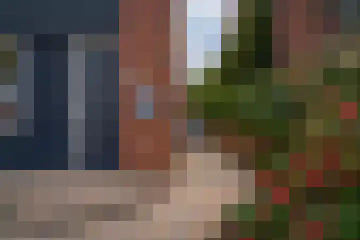 Heilige Stoel 5335 Wijchen thumbnail 50
