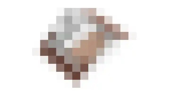 Heilige Stoel 5335 Wijchen thumbnail 63