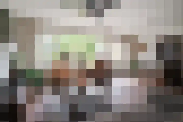 Heilige Stoel 5335 Wijchen thumbnail 7