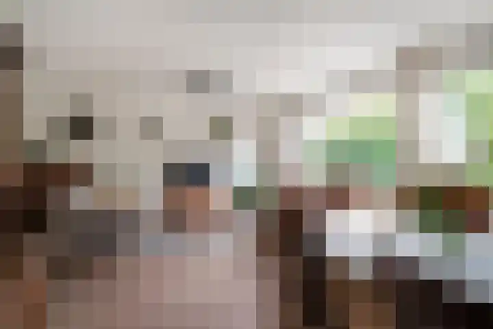 Heilige Stoel 5335 Wijchen thumbnail 9