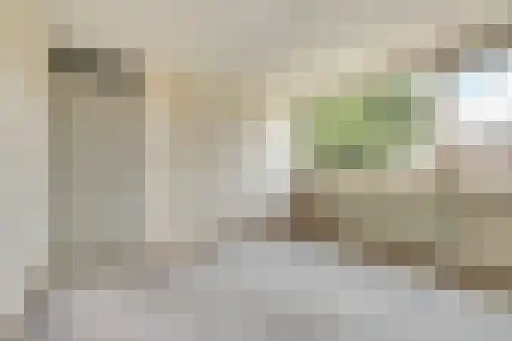 Heilige Stoel 5351 Wijchen thumbnail 14