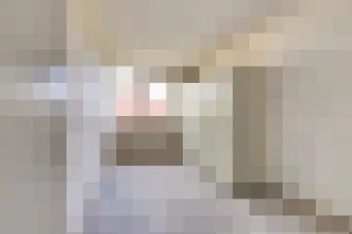 Heilige Stoel 5351 Wijchen thumbnail 15