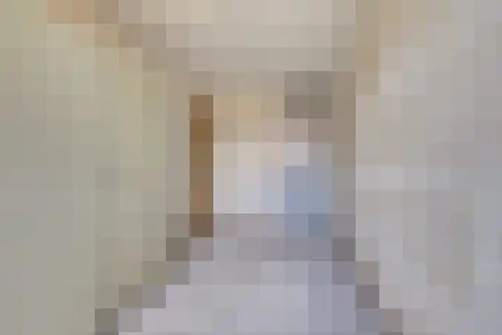 Heilige Stoel 5351 Wijchen thumbnail 16