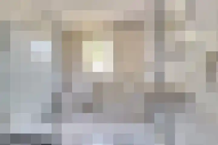 Heilige Stoel 5351 Wijchen thumbnail 17