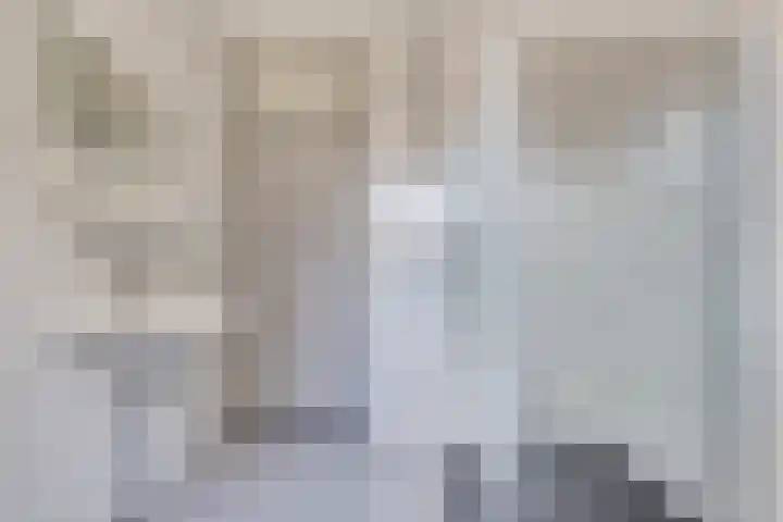 Heilige Stoel 5351 Wijchen thumbnail 18