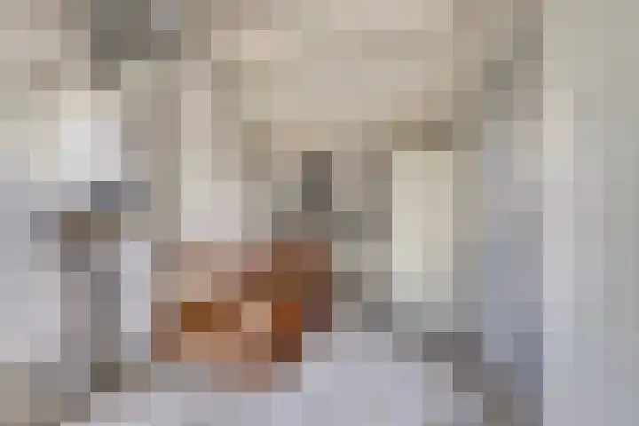 Heilige Stoel 5351 Wijchen thumbnail 21