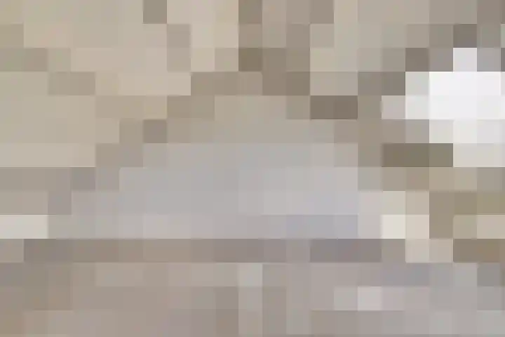 Heilige Stoel 5351 Wijchen thumbnail 23