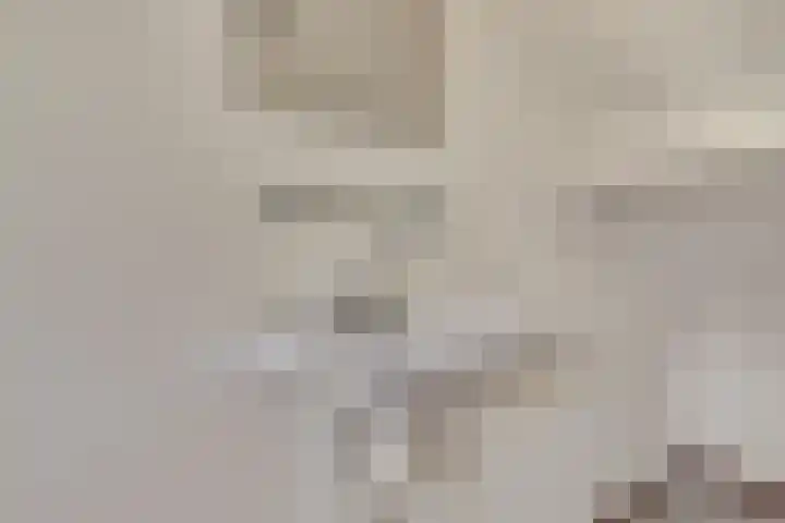 Heilige Stoel 5351 Wijchen thumbnail 25