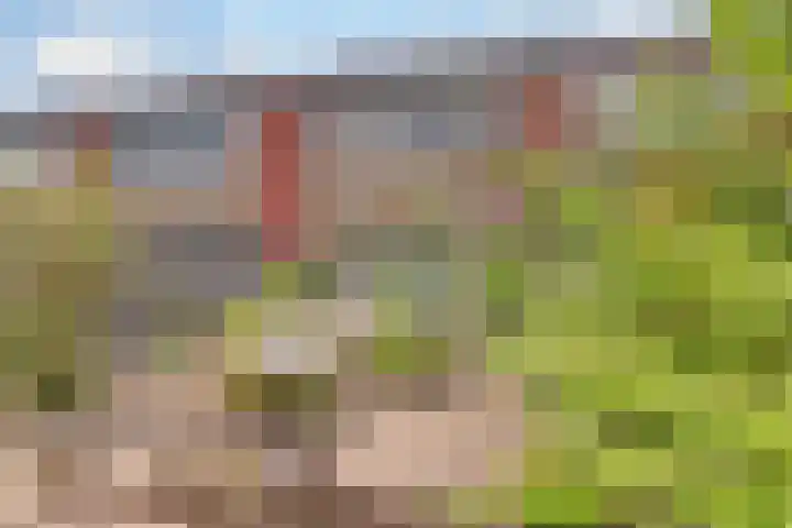 Heilige Stoel 5351 Wijchen thumbnail 26