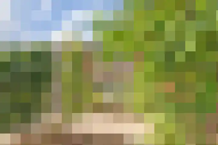 Heilige Stoel 5351 Wijchen thumbnail 27
