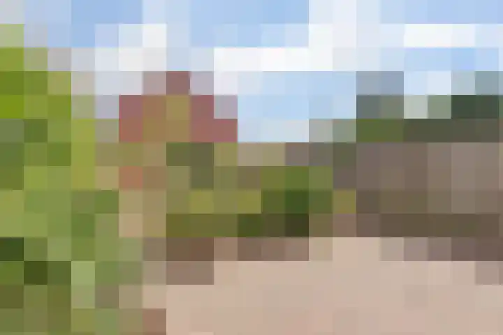 Heilige Stoel 5351 Wijchen thumbnail 29