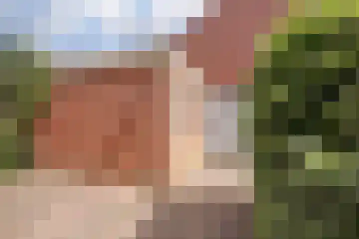 Heilige Stoel 5351 Wijchen thumbnail 31