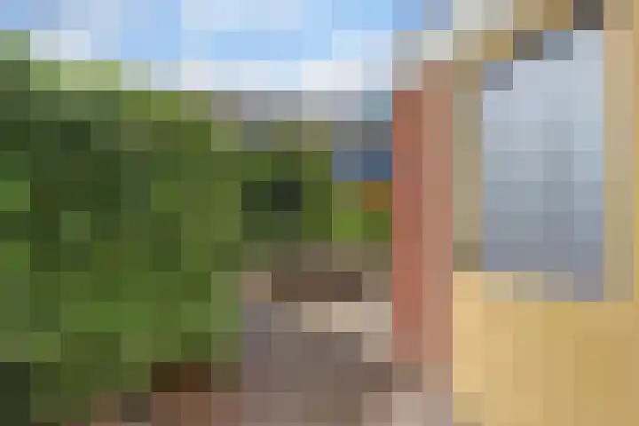 Heilige Stoel 5351 Wijchen thumbnail 32