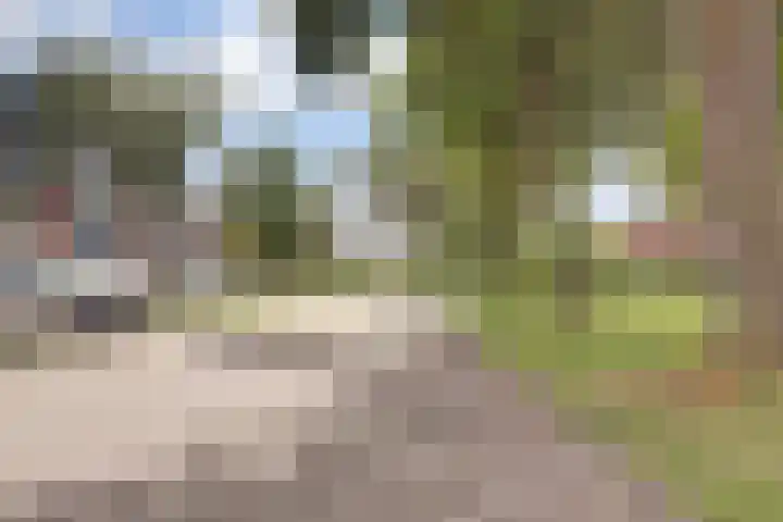 Heilige Stoel 5351 Wijchen thumbnail 35