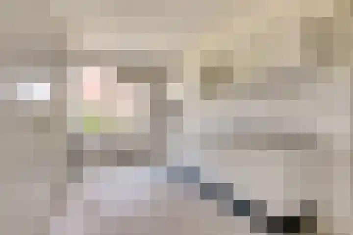 Heilige Stoel 5351 Wijchen thumbnail 4