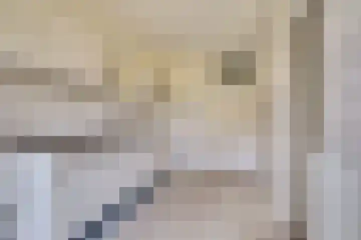 Heilige Stoel 5351 Wijchen thumbnail 5