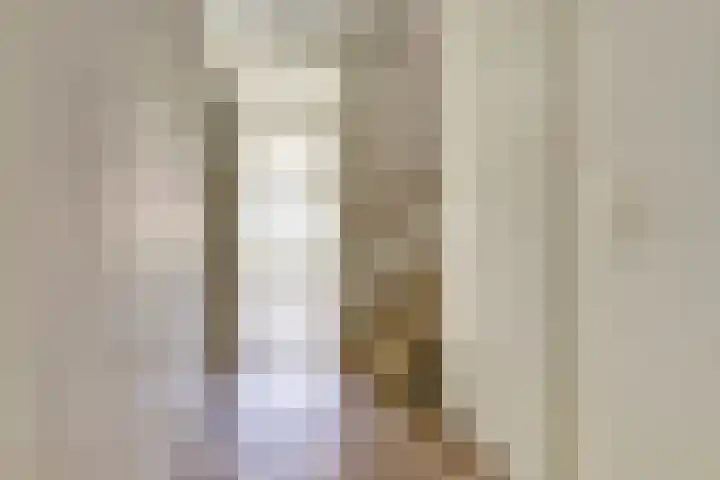 Heilige Stoel 5351 Wijchen thumbnail 7