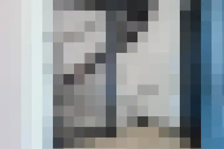 Heilige Stoel 5901 Wijchen thumbnail 26