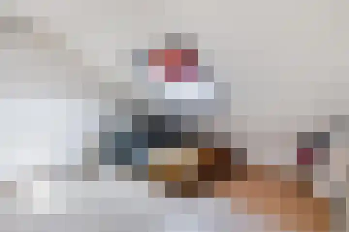 Heilige Stoel 5901 Wijchen thumbnail 29