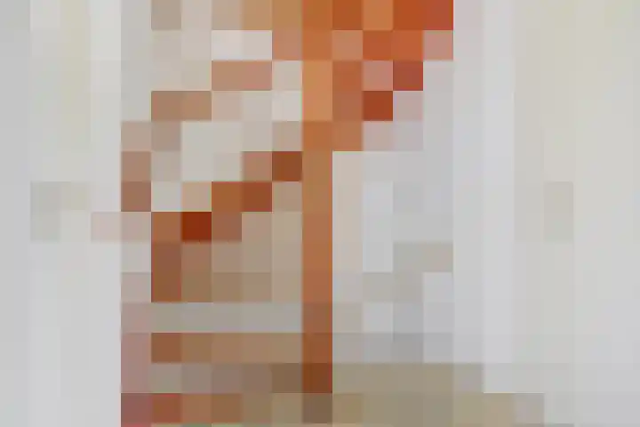 Heilige Stoel 5902 Wijchen thumbnail 12