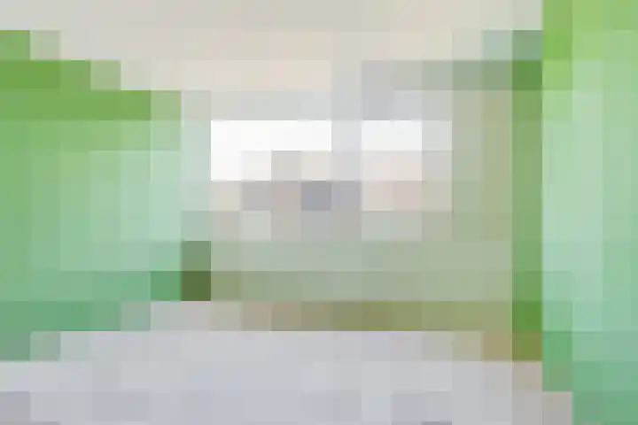 Heilige Stoel 5902 Wijchen thumbnail 13