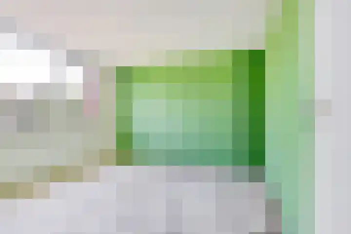 Heilige Stoel 5902 Wijchen thumbnail 14