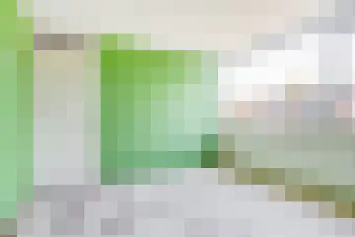 Heilige Stoel 5902 Wijchen thumbnail 15