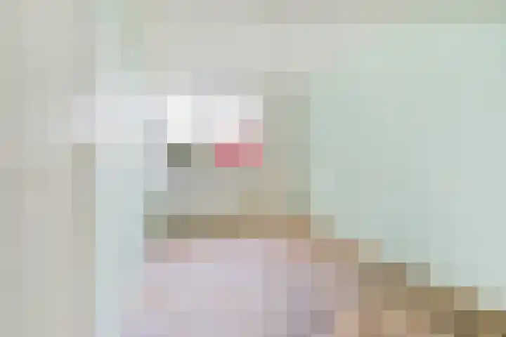 Heilige Stoel 5902 Wijchen thumbnail 18