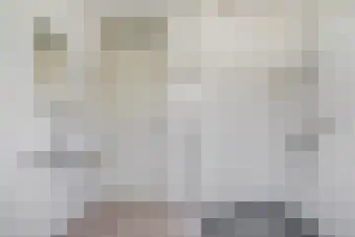 Heilige Stoel 5902 Wijchen thumbnail 21