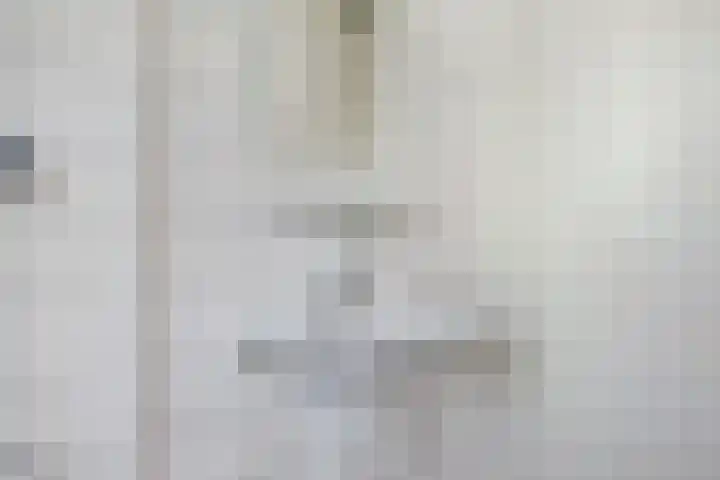 Heilige Stoel 5902 Wijchen thumbnail 22