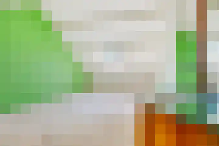 Heilige Stoel 5902 Wijchen thumbnail 24
