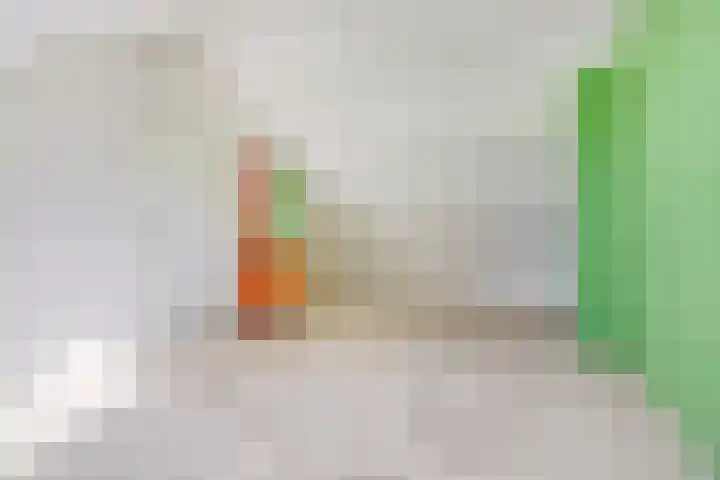 Heilige Stoel 5902 Wijchen thumbnail 25