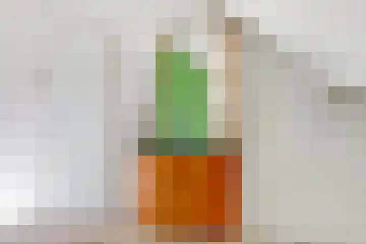 Heilige Stoel 5902 Wijchen thumbnail 26