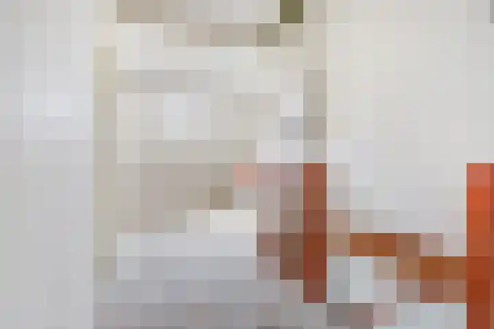 Heilige Stoel 5902 Wijchen thumbnail 27