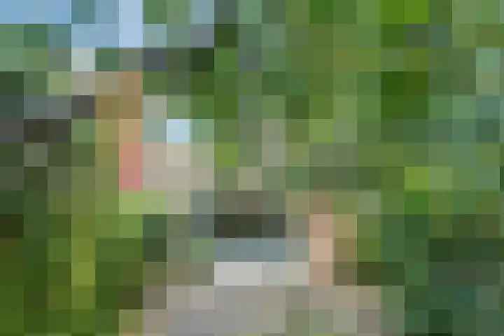 Heilige Stoel 5902 Wijchen thumbnail 29