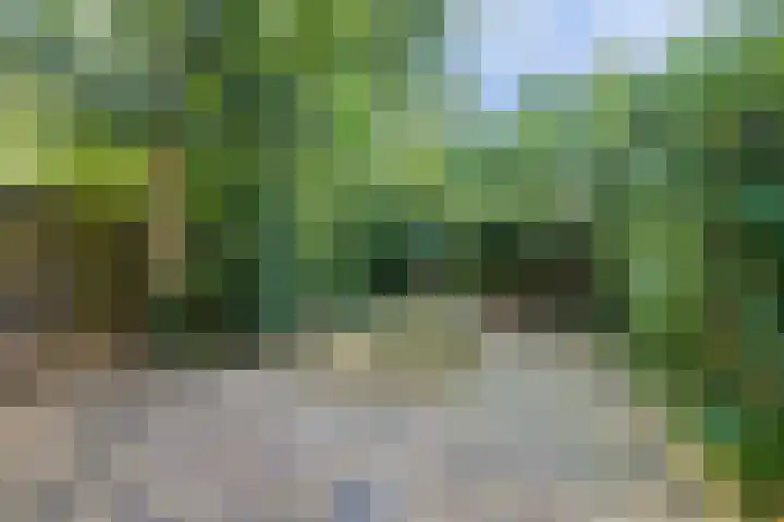Heilige Stoel 5902 Wijchen thumbnail 30