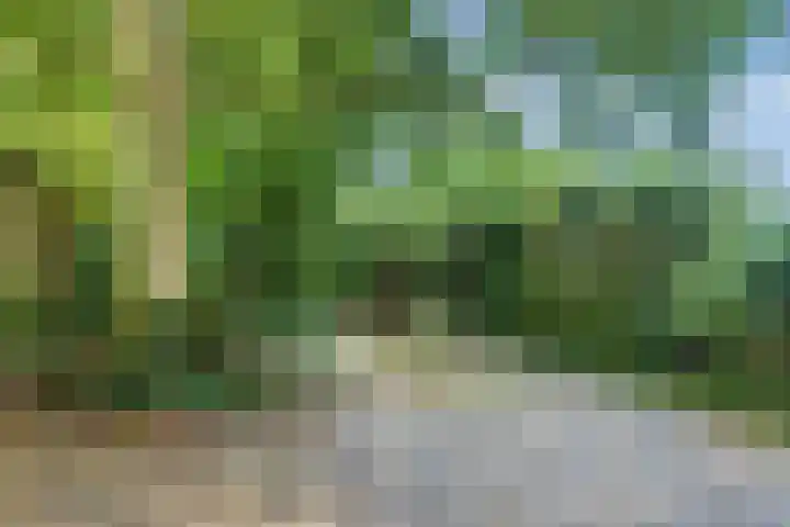 Heilige Stoel 5902 Wijchen thumbnail 31