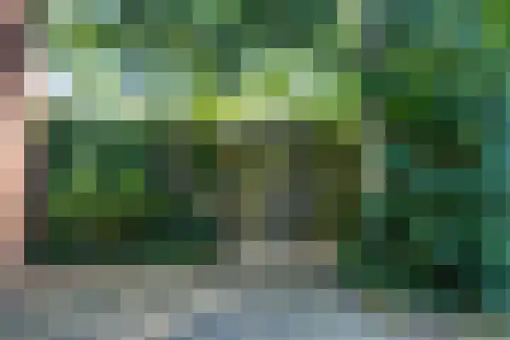 Heilige Stoel 5902 Wijchen thumbnail 32
