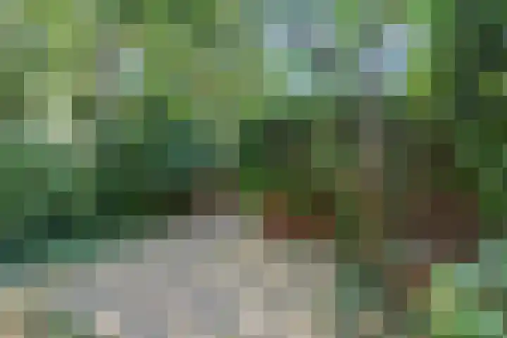 Heilige Stoel 5902 Wijchen thumbnail 33