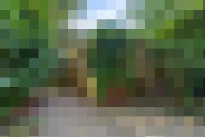 Heilige Stoel 5902 Wijchen thumbnail 34